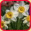bild_april