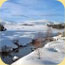 bild_februar