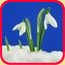 bild_januar