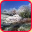 bild_november