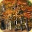 bild_oktober