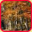 bild_oktober