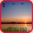 bild_september